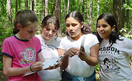 Nac-Forest-Awareness-Tour