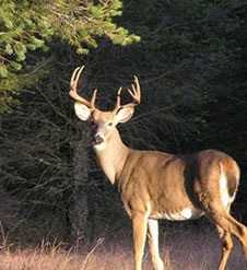 Hunting Club Insurance * Landowner Liability Insurance